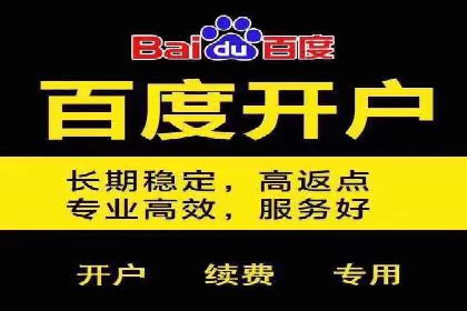 百度竞价包年案例：成功案例展示